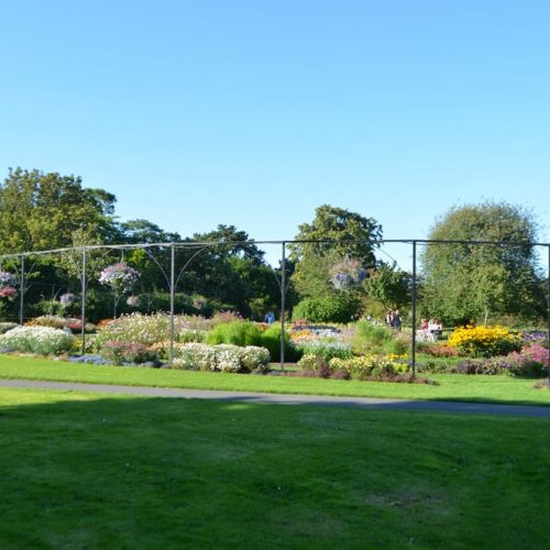 National Botanic Gardens, Dublin