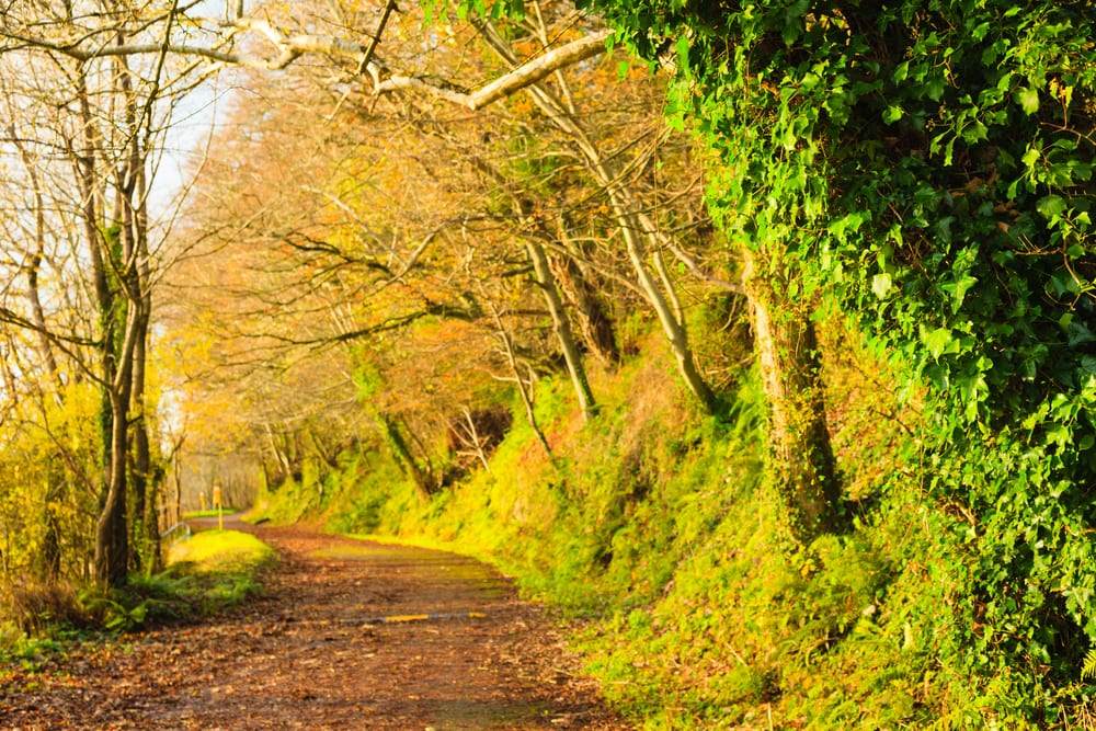 Ireland Autumn