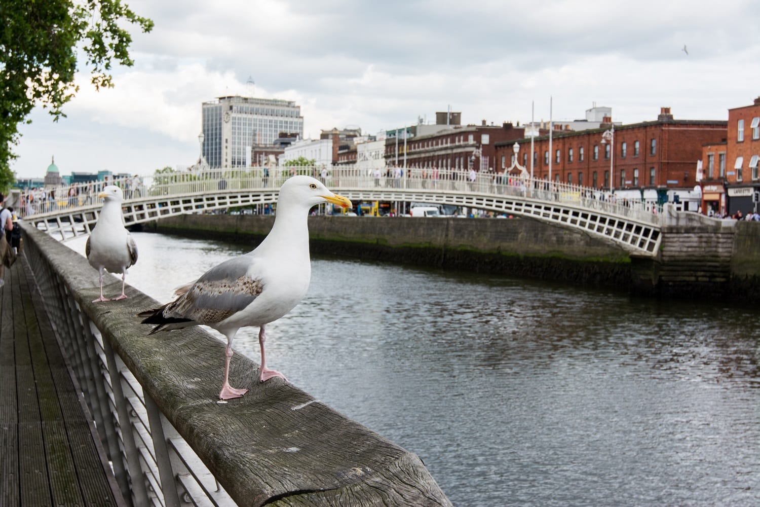 Dublin city