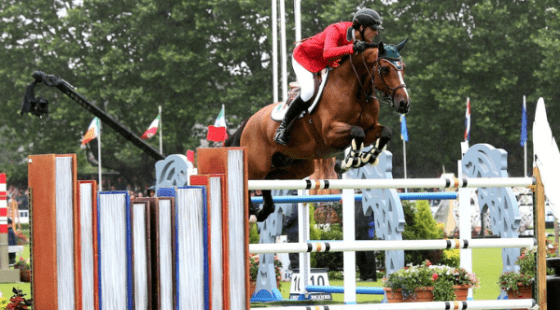 Dublin Horse Show